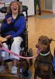 Retirement Homes For Dogs Pictures