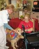 Retirement Homes For Dogs Images