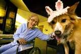 Retirement Homes For Dogs Pictures